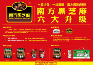 跨界之光 從設計到軟件開發(fā)的學習之旅